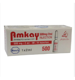 Amkay 500mg Injection