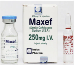 Maxef 250mg Im Injection