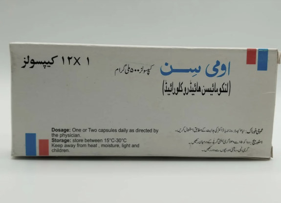 Omicin 500 Capsules